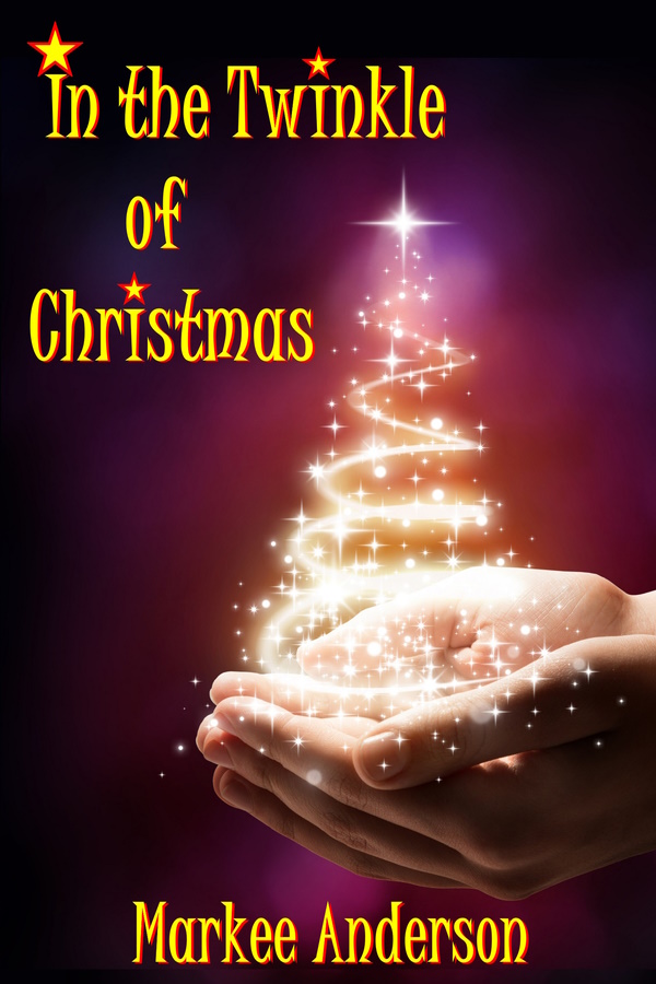 In the Twinkle of Christmas book cover